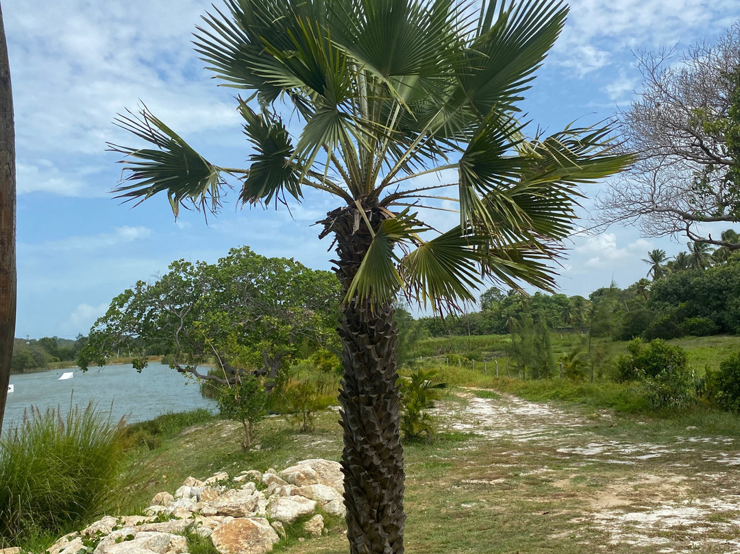 Fazendinha Adventure Park