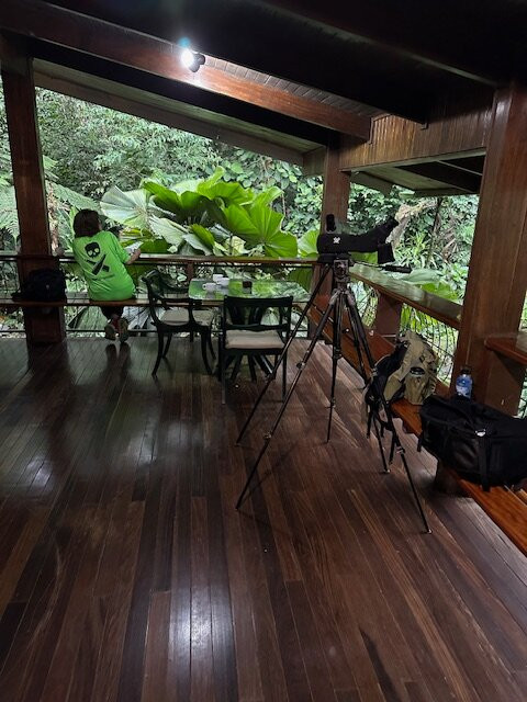 Selva Verde Lodge主图