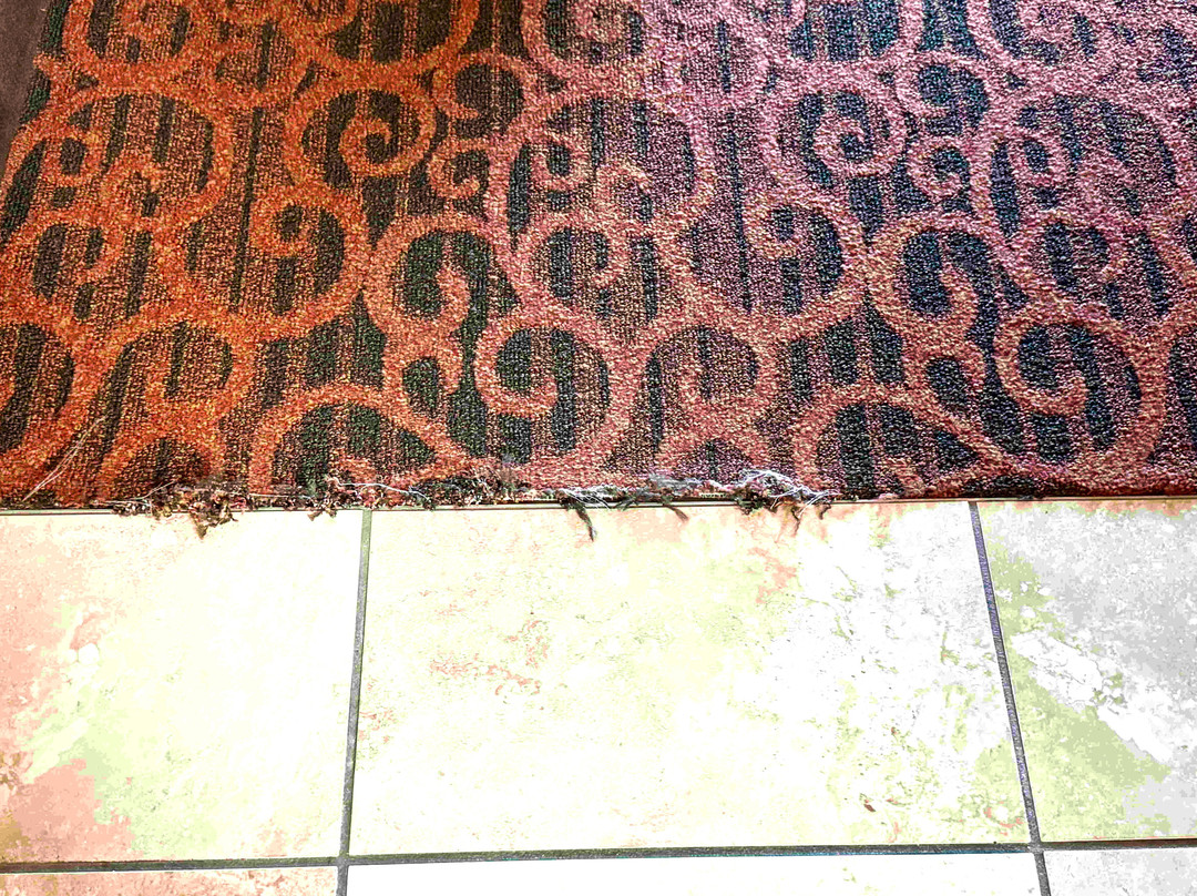 Hampton Inn Milan主图