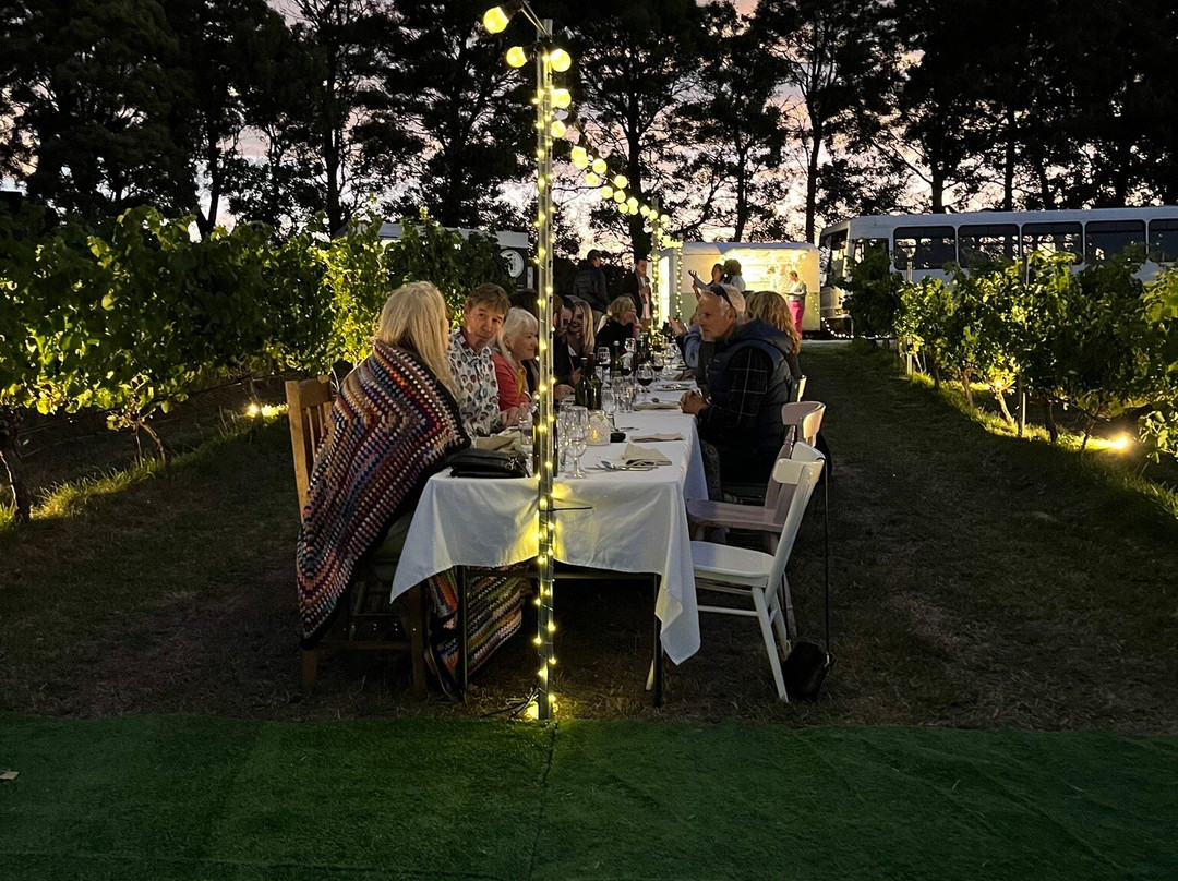 Domescapes in the Vines主图