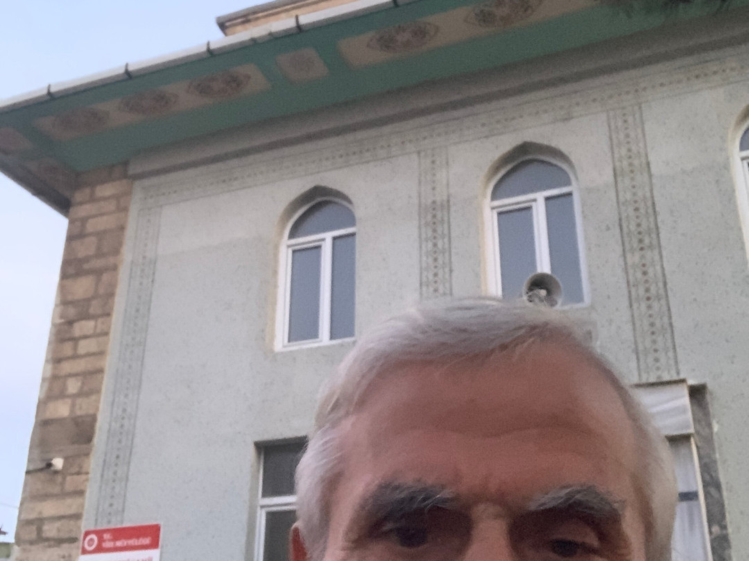 Vize Merkez Yeni Camii景点图片