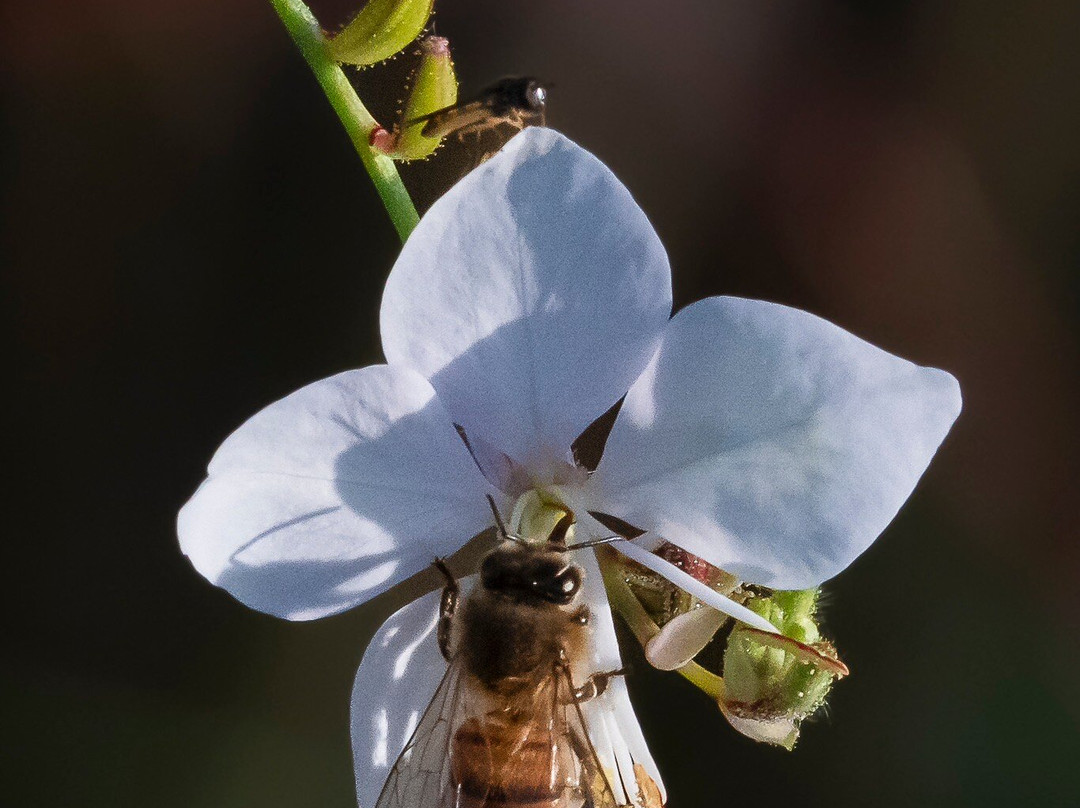 Warkworth Country House主图