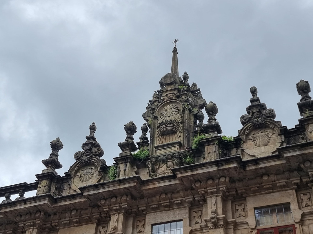 Palacio de Raxoi景点图片