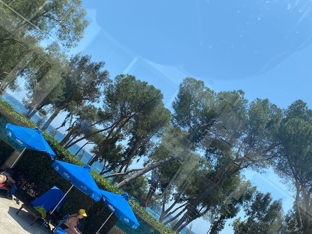 公园海滩酒店主图