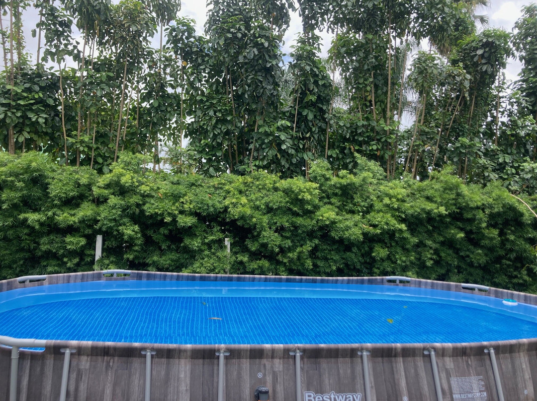 Hilo Bay Oceanfront Bed and Breakfast主图