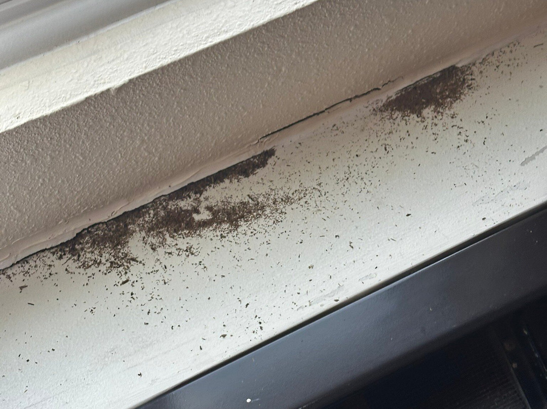 Sleep Inn & Suites Airport主图