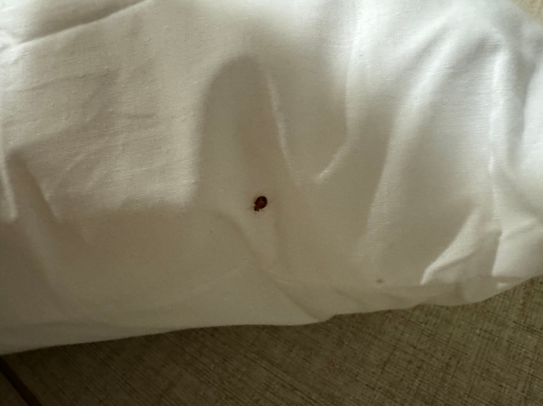 贝斯特韦斯特普勒斯切姆斯福德酒店主图