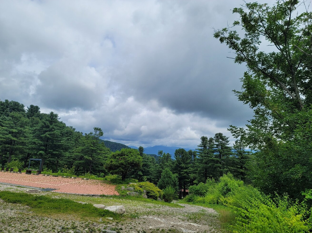 Gyeonggi-do Jatyanggi Purunsup景点图片