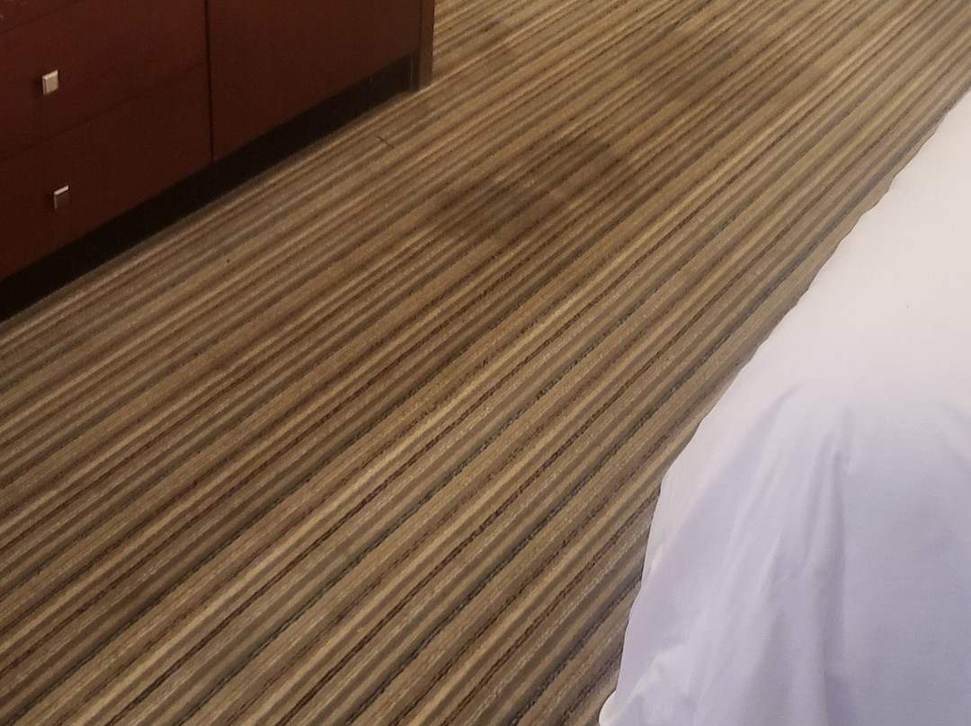 Hilton Akron/fairlawn主图