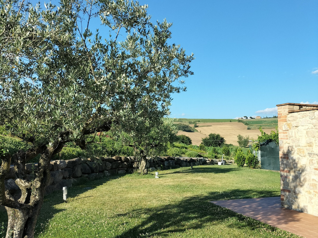 Agriturismo San Silvestro主图