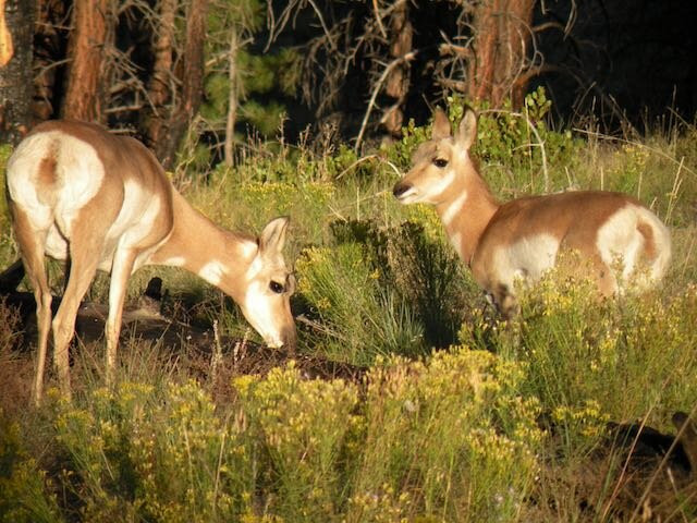 Just Get Outdoors-汤森必去景点