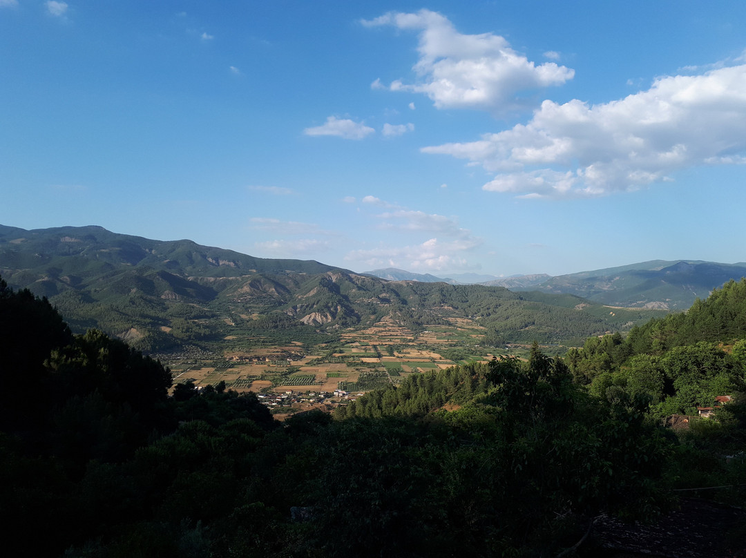 Chri Chri Guesthouse主图