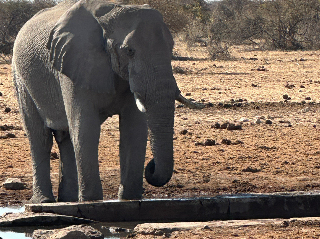 Dusty Foot Tours Namibia-温德和克必去景点