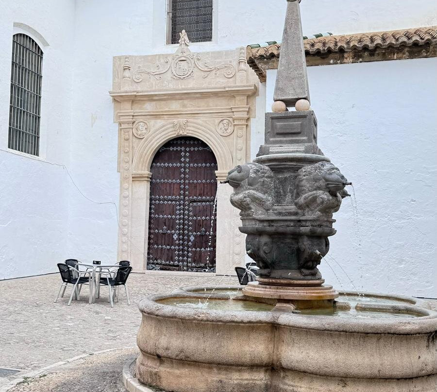 Barroco Visitas Guiadas景点图片