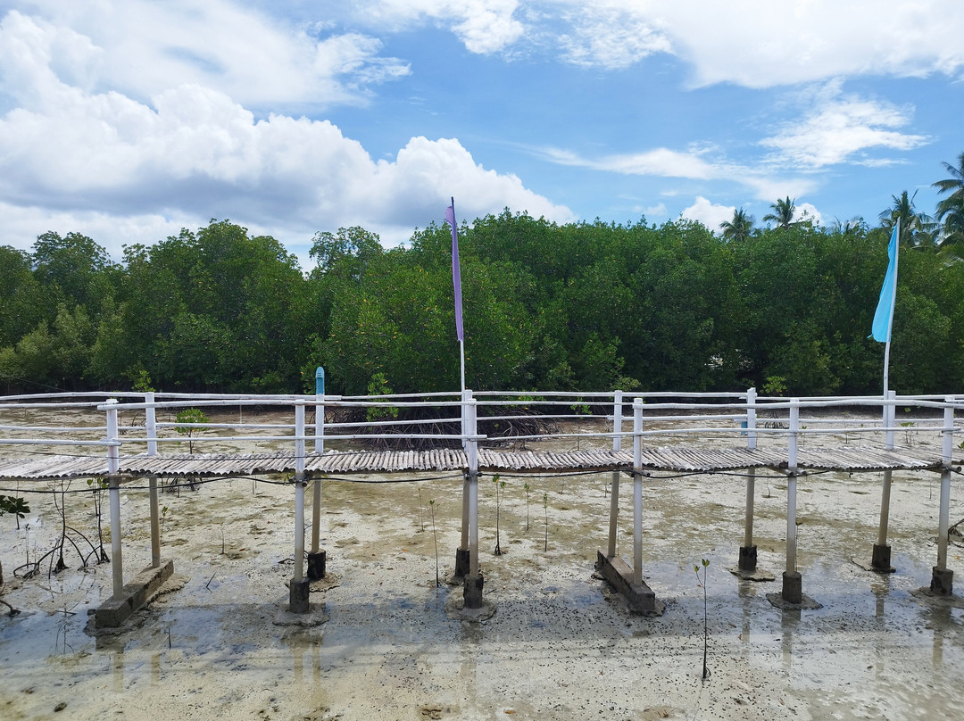 Omagieca Mangrove Garden-班塔延岛必去景点