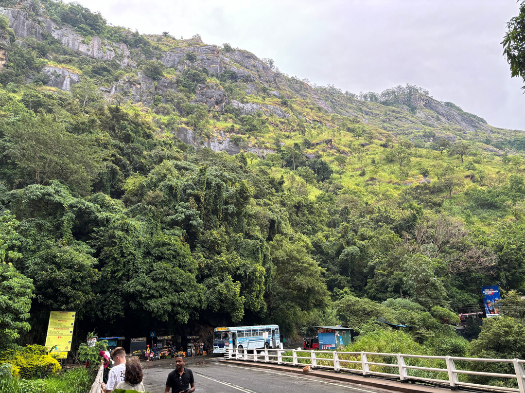 Ceylon Udawalawe Tours-乌达瓦拉瓦必去景点