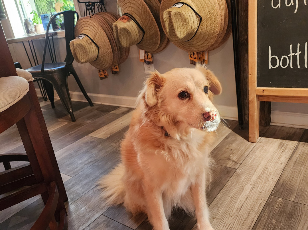Four Hounds Distilling景点图片