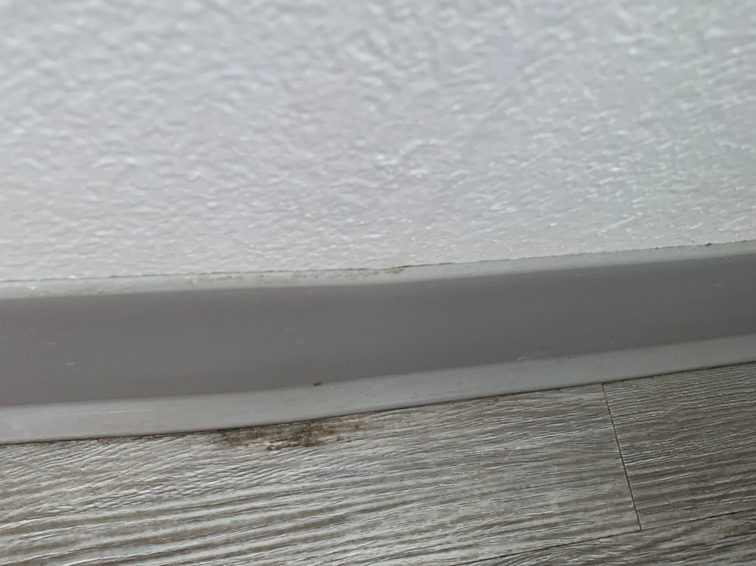 Country Inn & Suites by Radisson, Chattanooga-Lookout Mountain主图