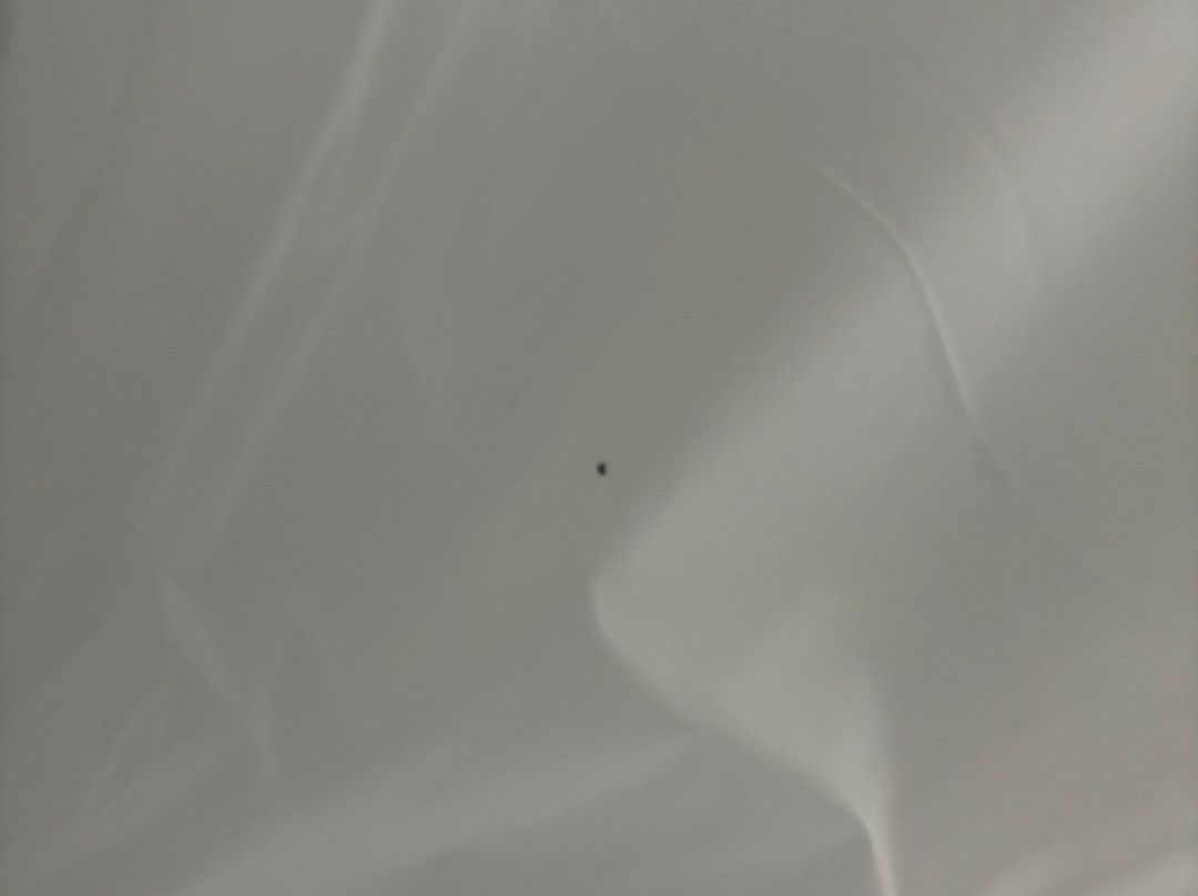 Best Western Inn Of Jasper主图