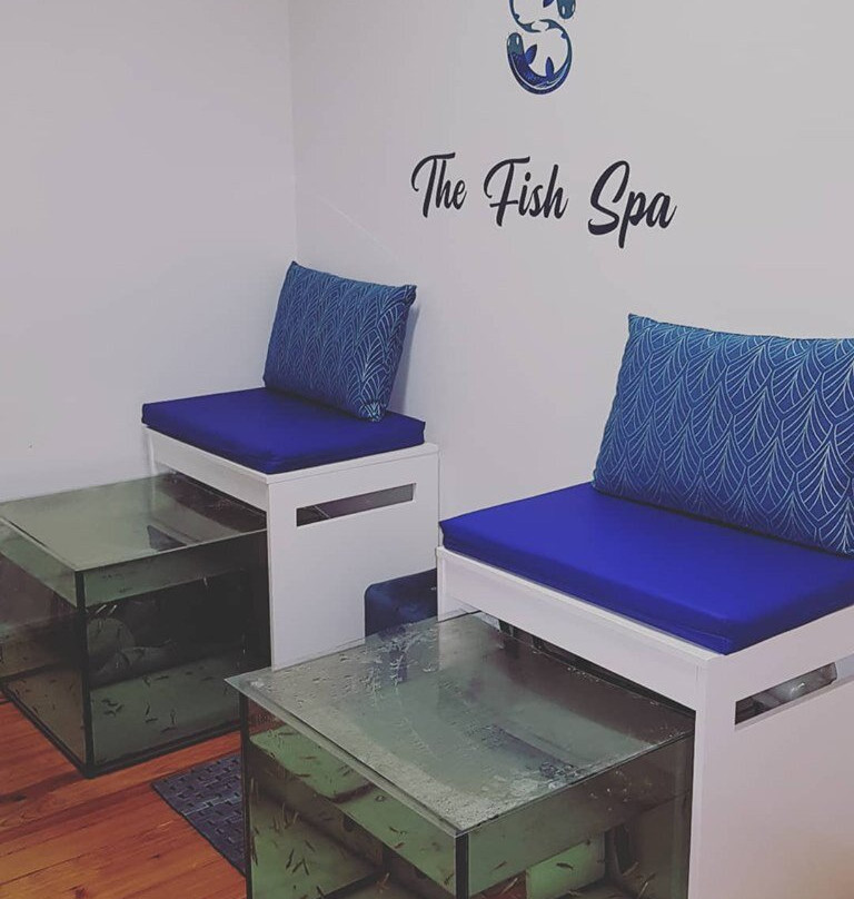The Fish Spa-Sao Vicente必去景点