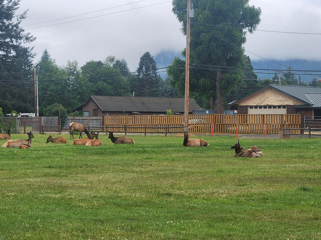 Cowlitz River Lodge主图