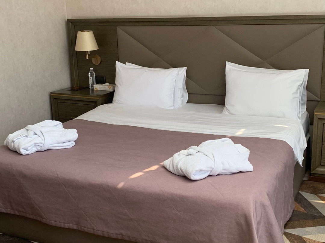 SK Royal Hotel Tula主图