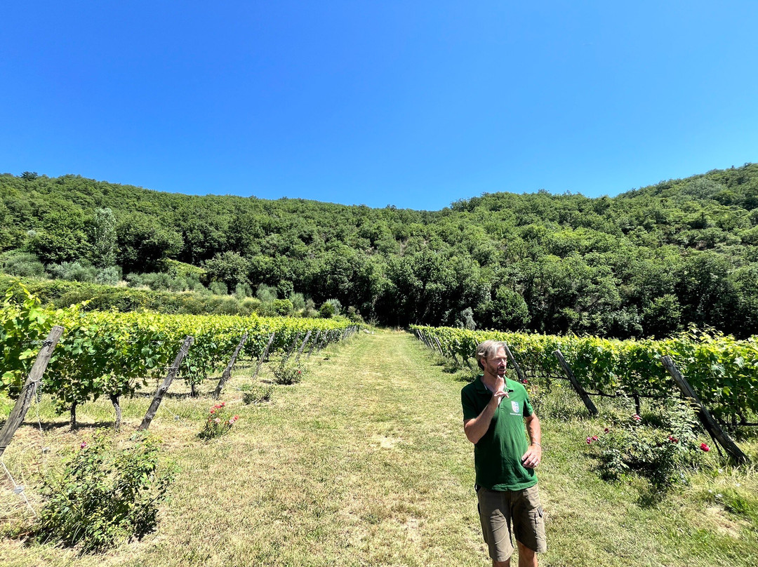 Fattoria San Leolino景点图片