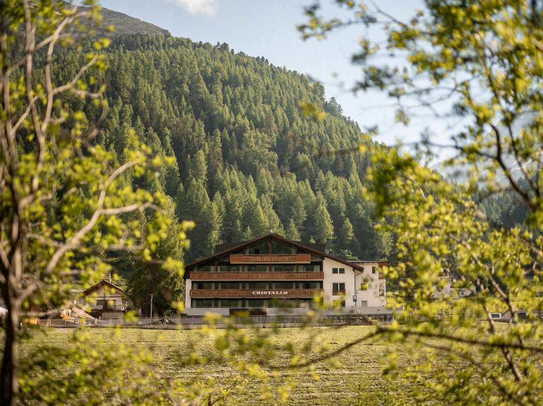 Hotel Cristallo主图