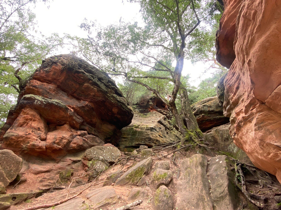 Katzensteine-Mechernich必去景点