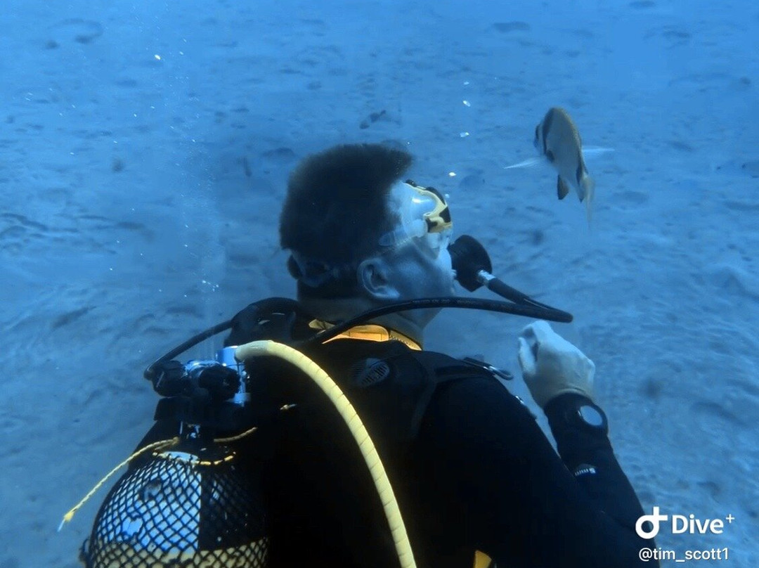 Blue Water Diving-波多黎各必去景点