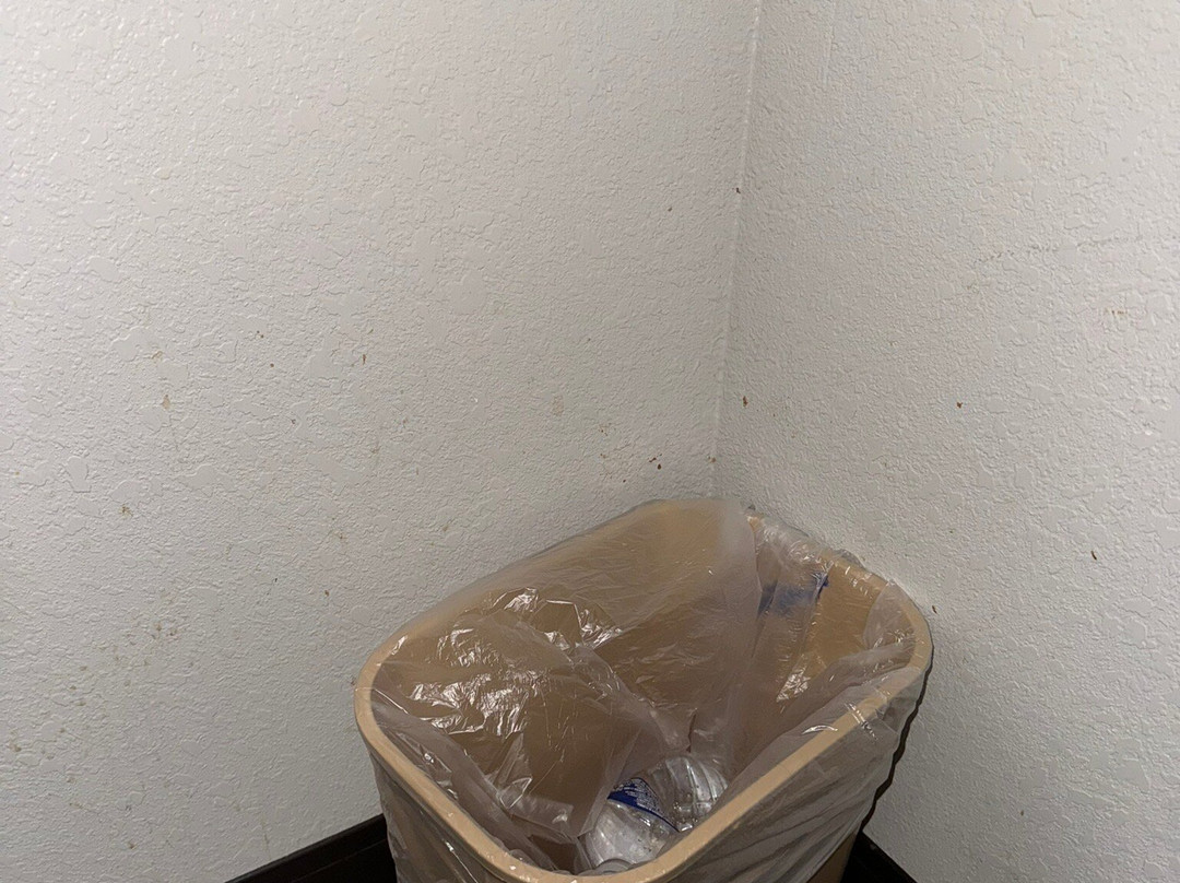 Quality Suites Wildwood - The Villages主图