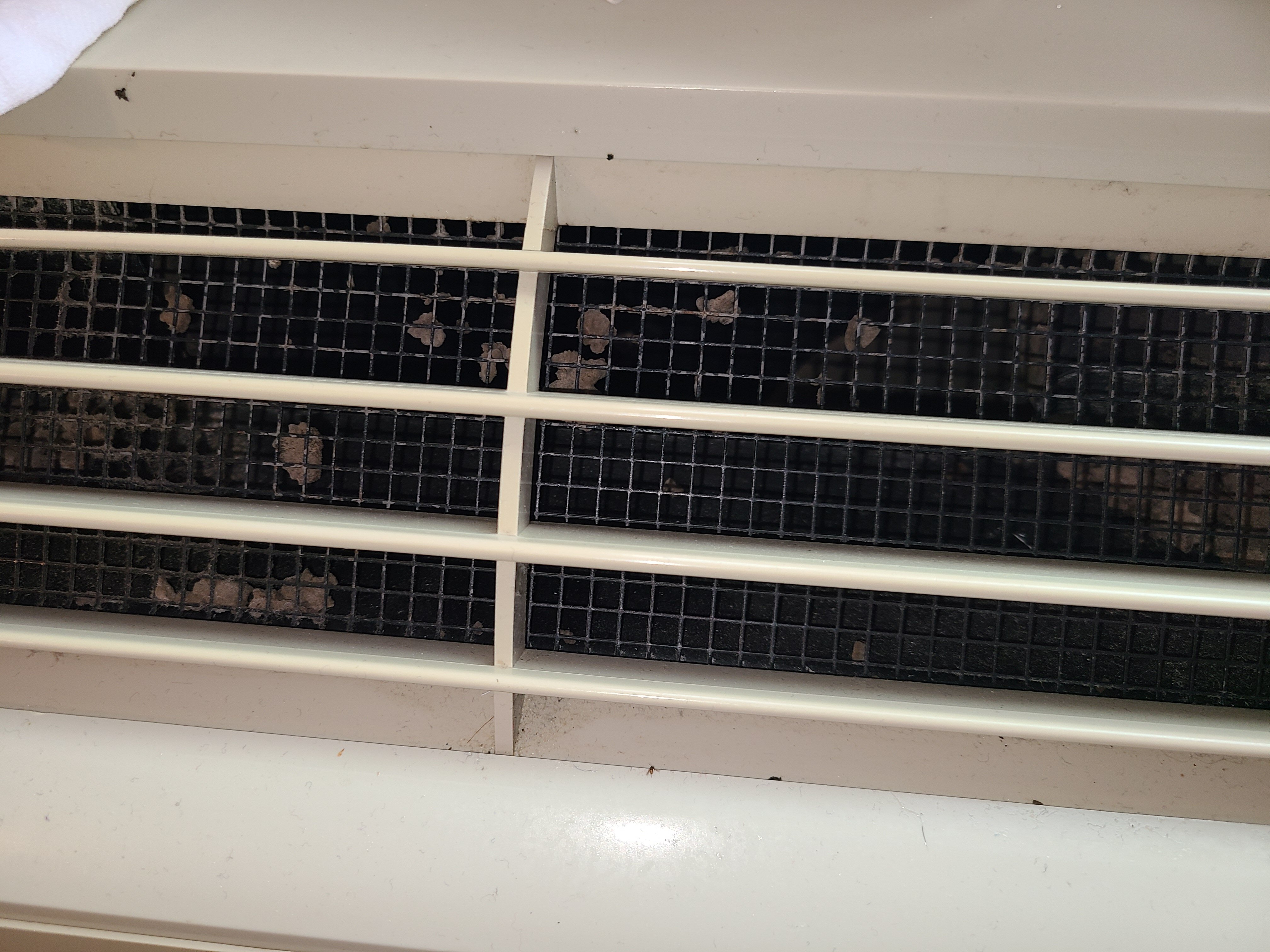 里奇蒙茵斯布鲁克希尔顿花园酒店-官方