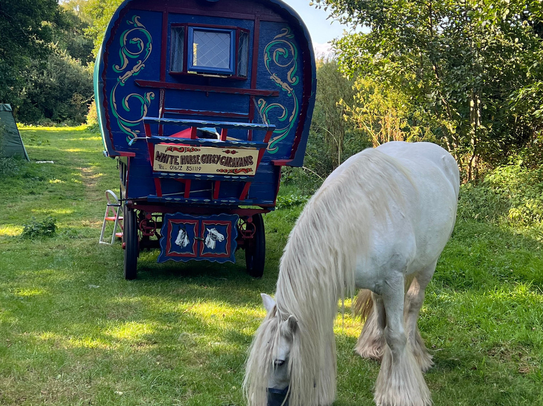 White Horse Gypsy Caravans景点图片