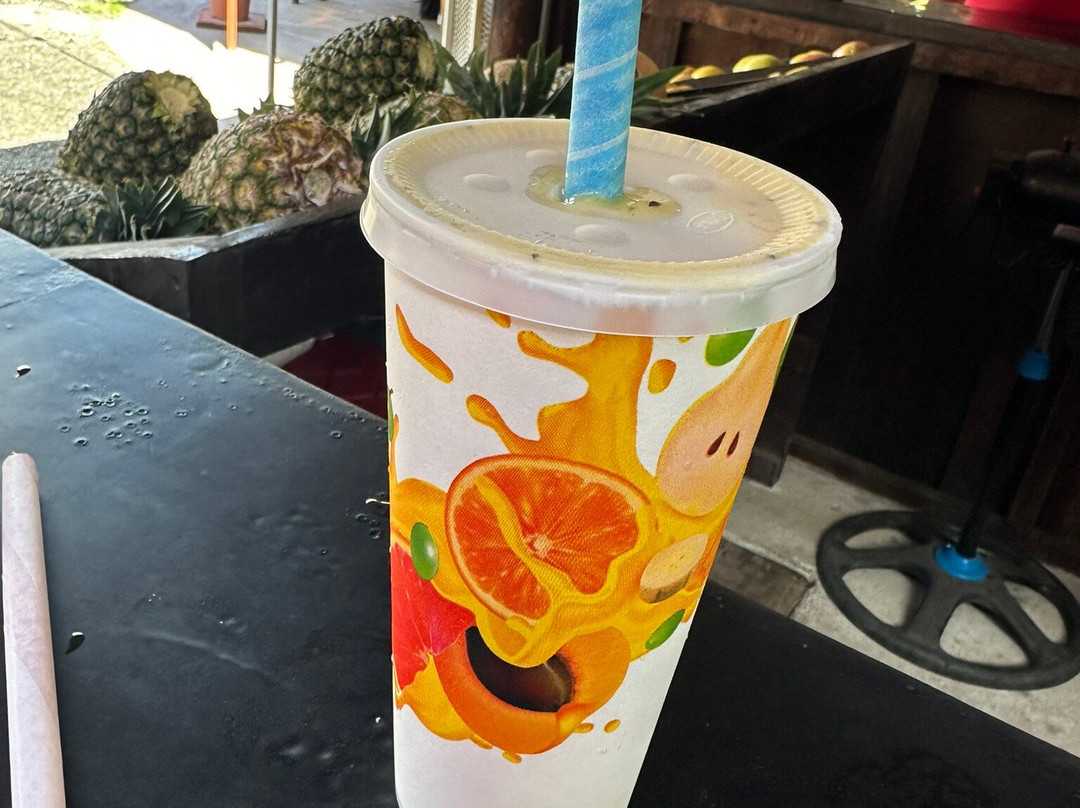 Tropical Tours Shuttles-蒙特祖玛必去景点