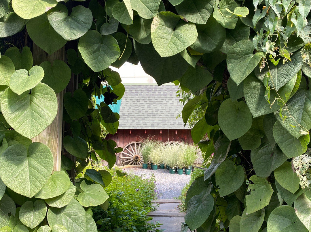 Walker Farm-Dummerston必去景点