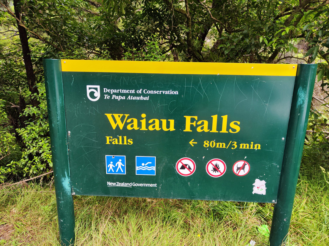 Waiau Falls Walk景点图片