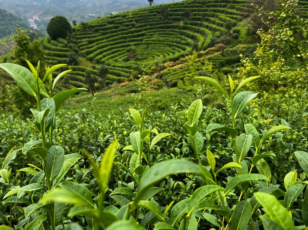 Truly China Travel-桂林市必去景点
