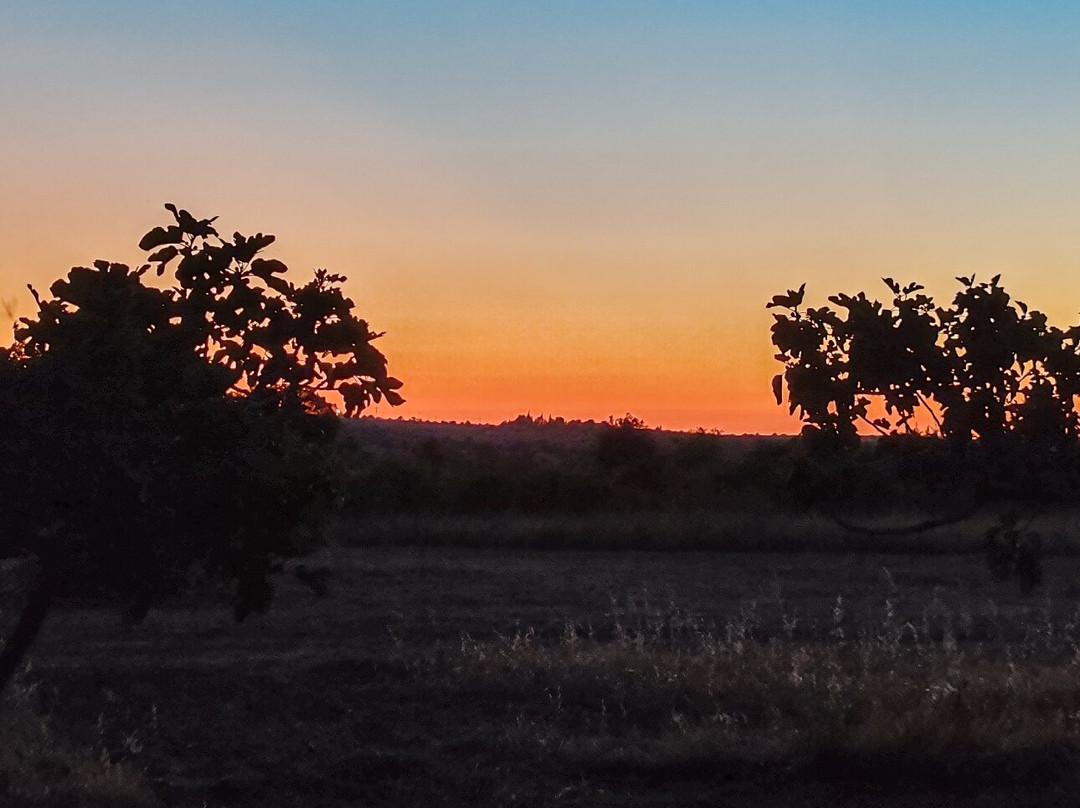 Ai Pilieri di Bagnoli主图