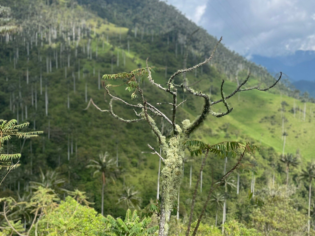 Colombian Summit-Ibague必去景点