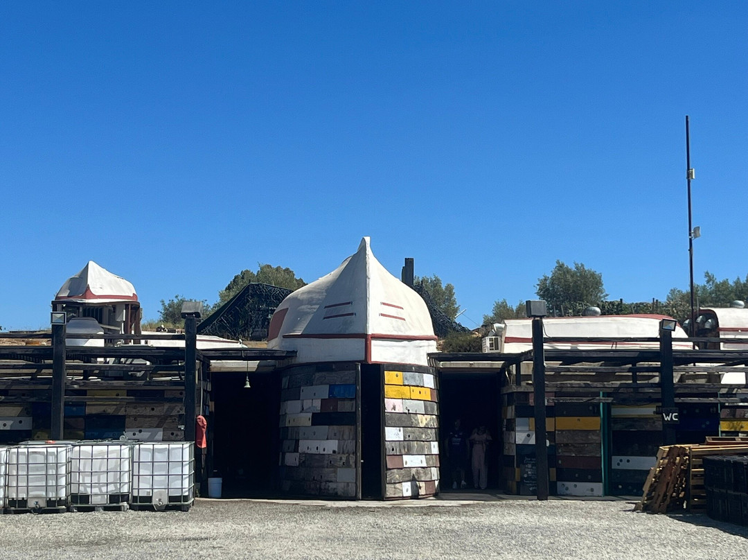 Vena Cava-Valle de Guadalupe必去景点