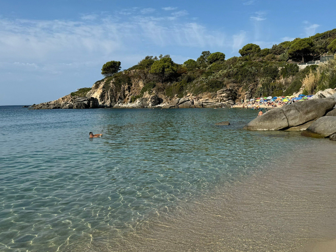 Spiaggia di Cavoli景点图片