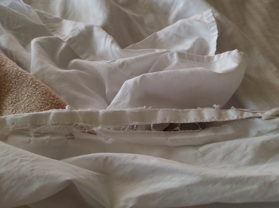 贝斯特韦斯特埃尔科旅馆主图