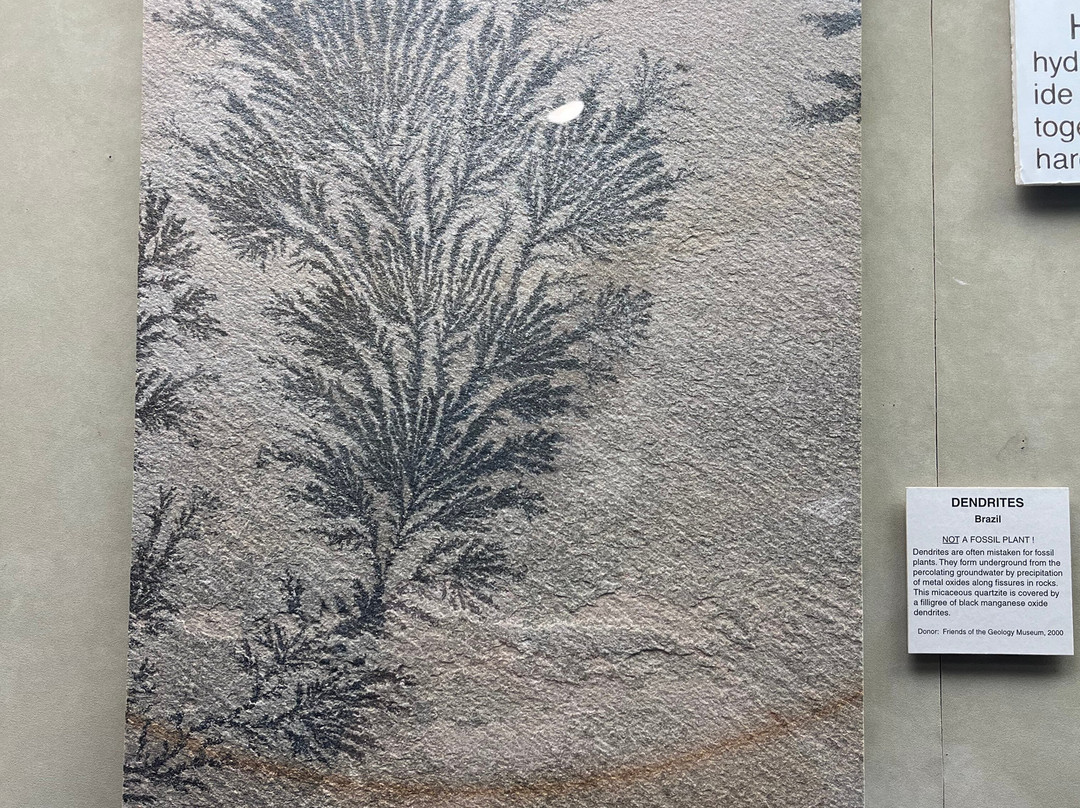 University of Wisconsin Geology Museum-麦迪逊必去景点