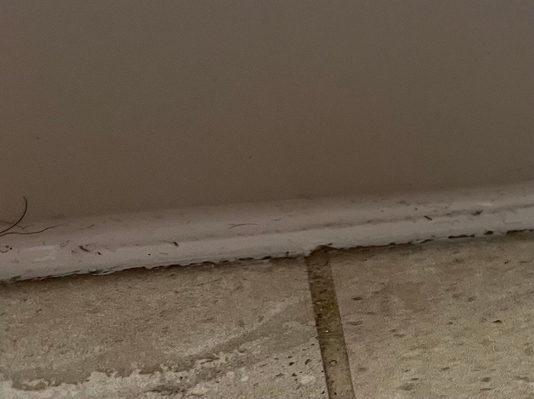 Comfort Inn & Suites主图