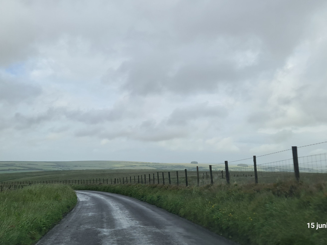 21 Mile Drive景点图片