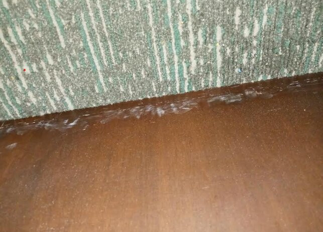 Club Wyndham Ocean Boulevard主图