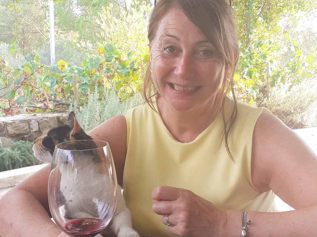 Sclavos Wines-Lixouri必去景点