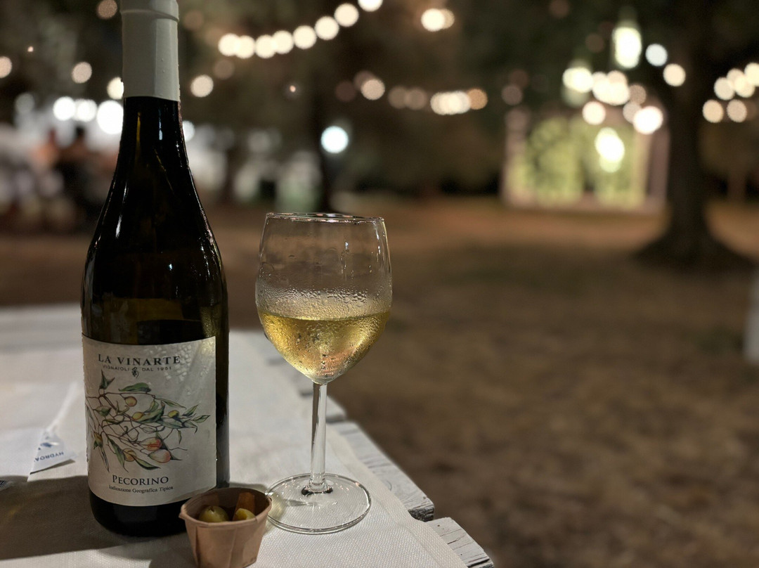 La Vinarte Azienda Agricola-Santa Maria Imbaro必去景点