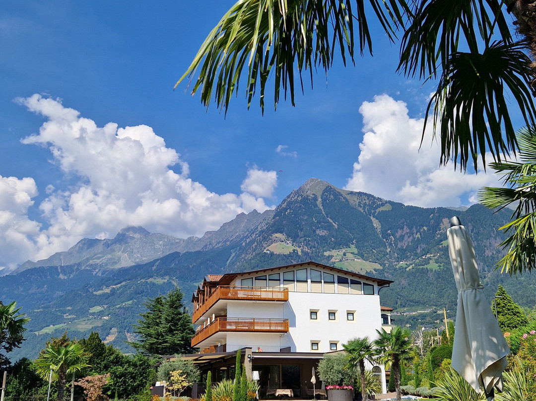Hotel Traubenheim主图