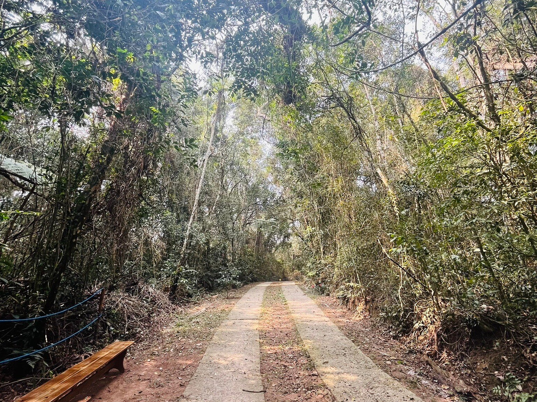 Cidade das Abelhas-Cotia必去景点